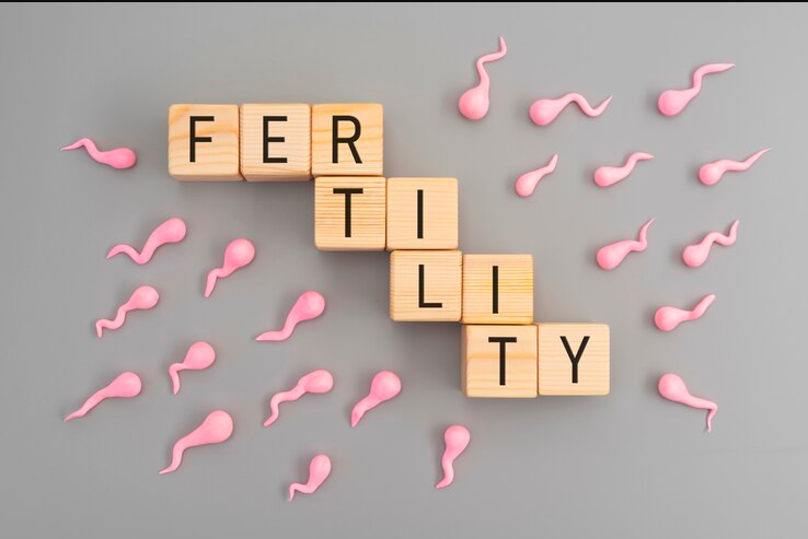 Fertility 101