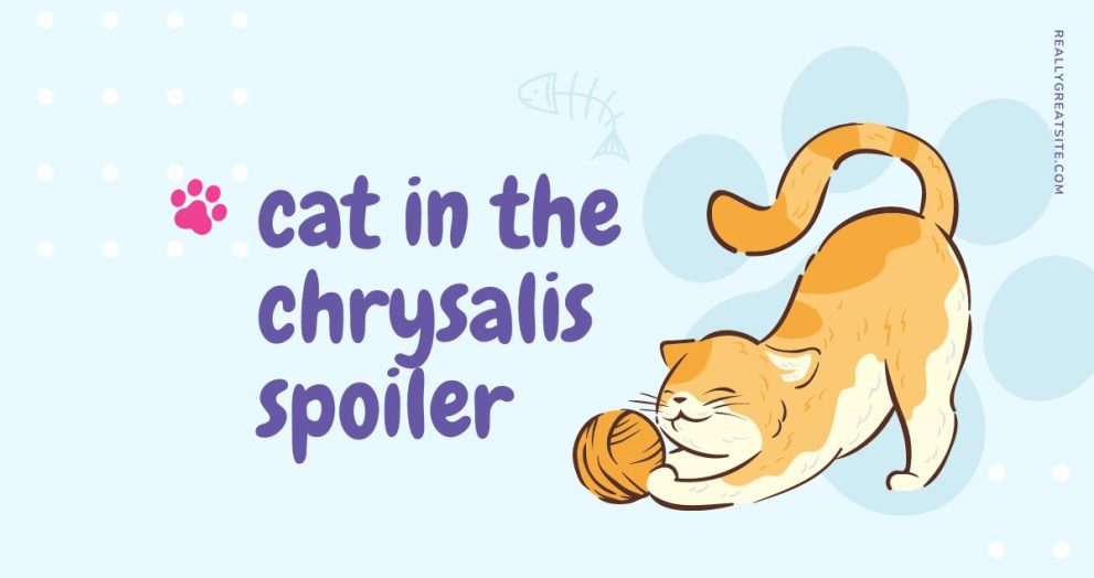 cat in the chrysalis spoiler
