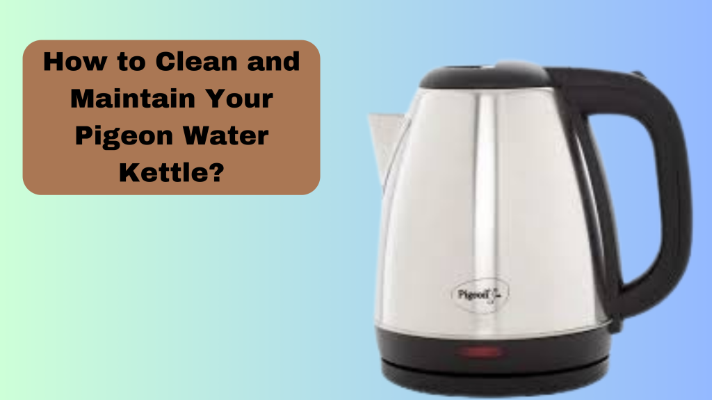 How to Clean and Maintain Your Pigeon Water Kettle