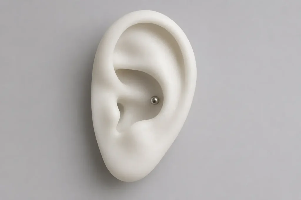 How Fast Does a Conch Piercing Close Up Without Jewelry showing ear cartilage anatomy and a healed conch piercing with jewelry.