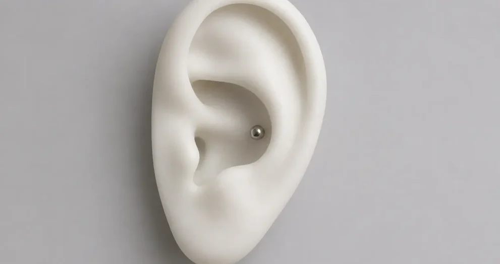 How Fast Does a Conch Piercing Close Up Without Jewelry showing ear cartilage anatomy and a healed conch piercing with jewelry.