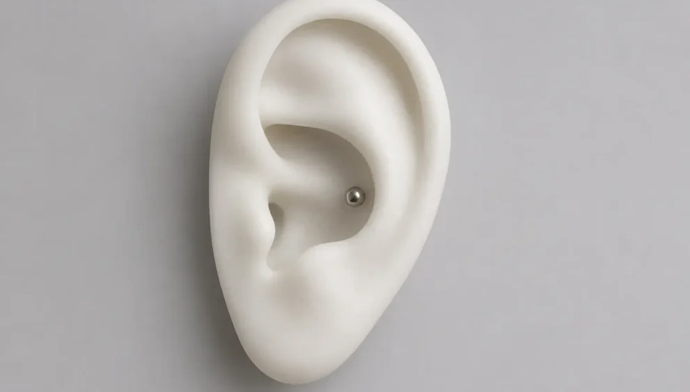 How Fast Does a Conch Piercing Close Up Without Jewelry showing ear cartilage anatomy and a healed conch piercing with jewelry.