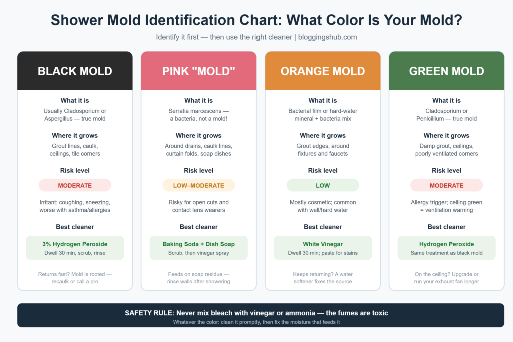 Shower mold color identification chart showing black, pink, orange, and green mold types with danger levels and best cleaning methods